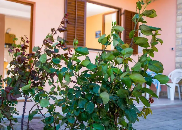 A.teskera * Trogir
